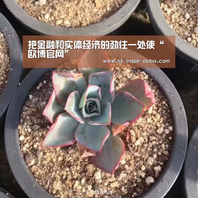 欧博官网