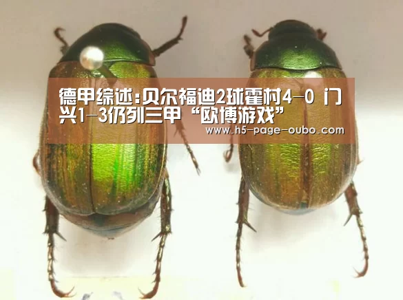 欧博登入